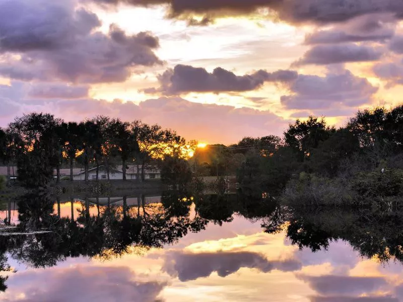 Wakodahatchee Wetlands