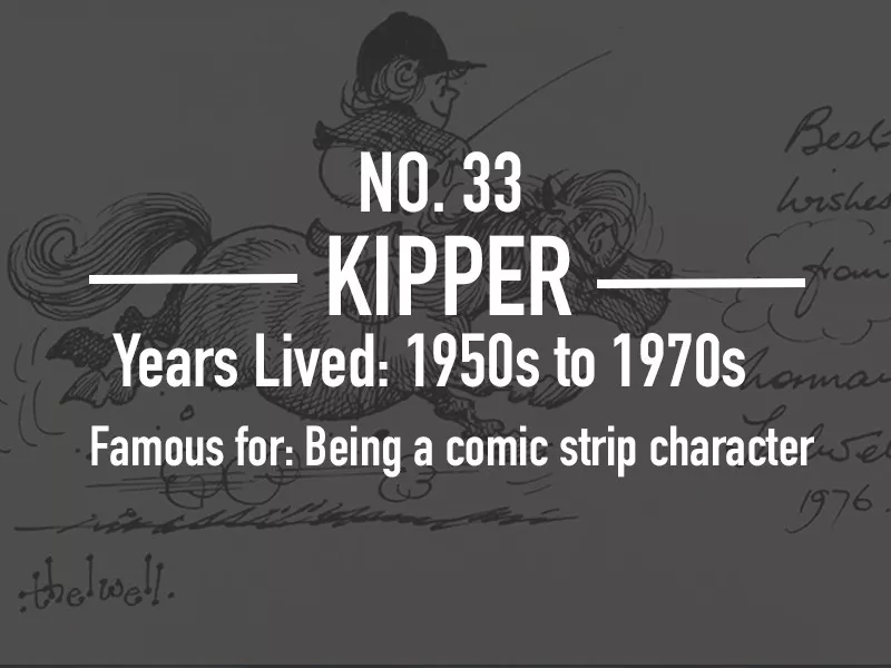 Kipper