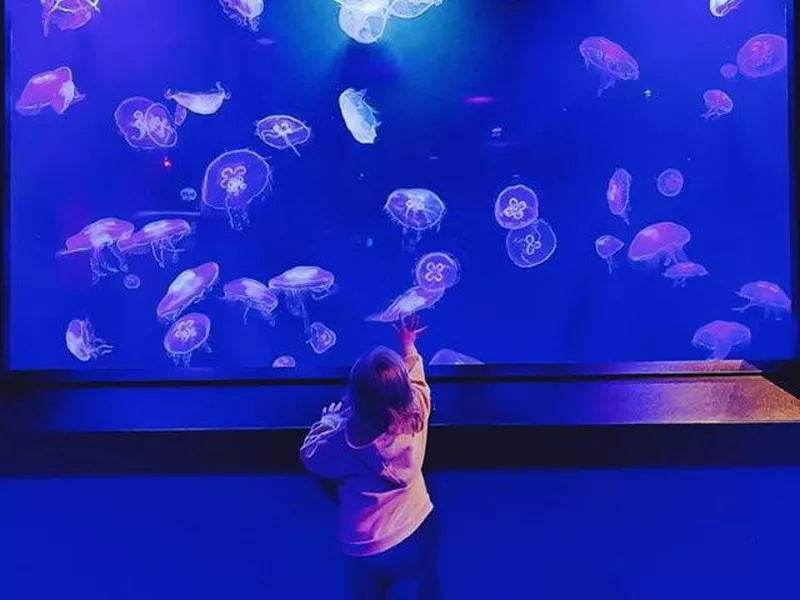 Newport Aquarium