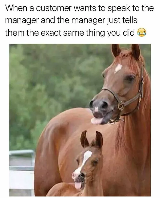 Horse have no patience for Karens