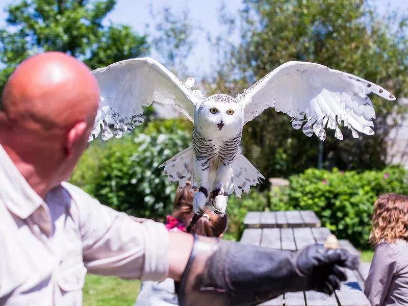 Feadon Farm Wildlife Centre