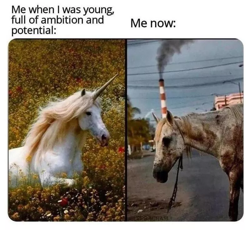 Flash back to simpler times horse meme