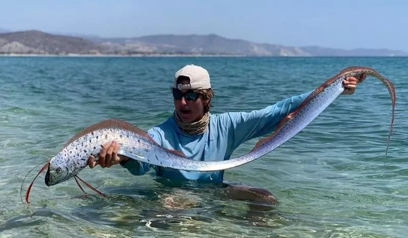 oarfish