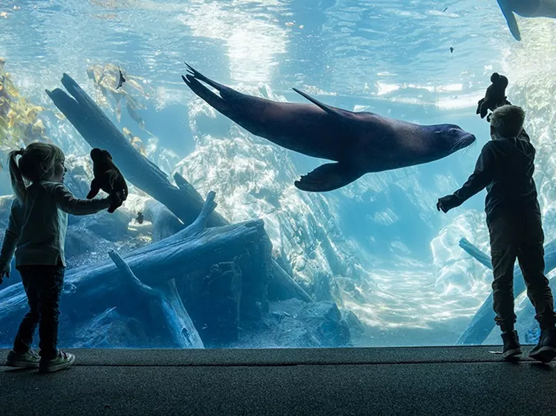 Omaha's Henry Doorly Zoo and Aquarium