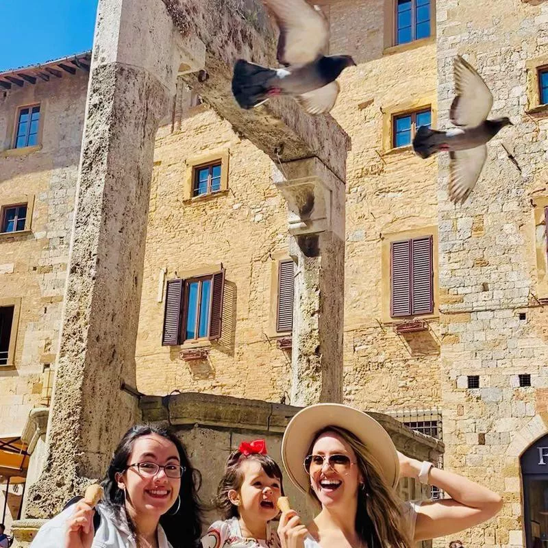 Pigeons photobombing picture