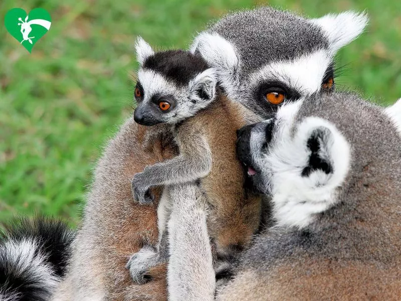 Bioparco di Roma