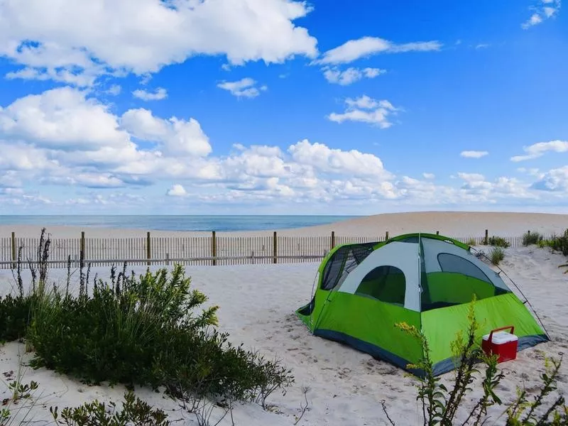 Assateague Island National Shore