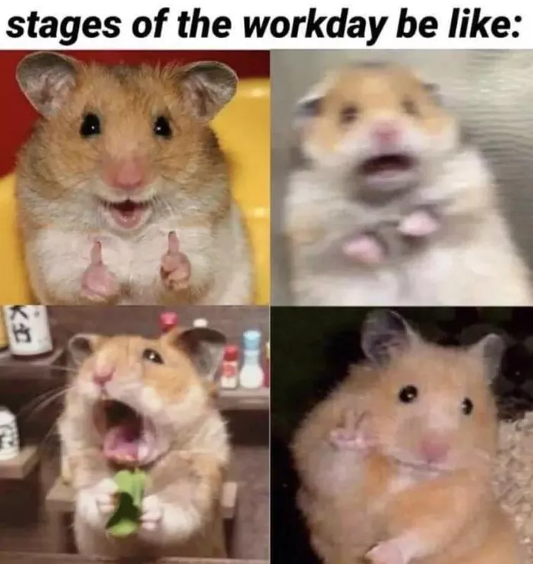 Hamster with funny facial expressions