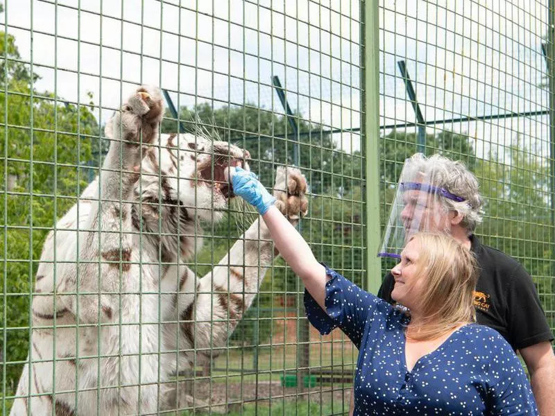 The Big Cat Sanctuary