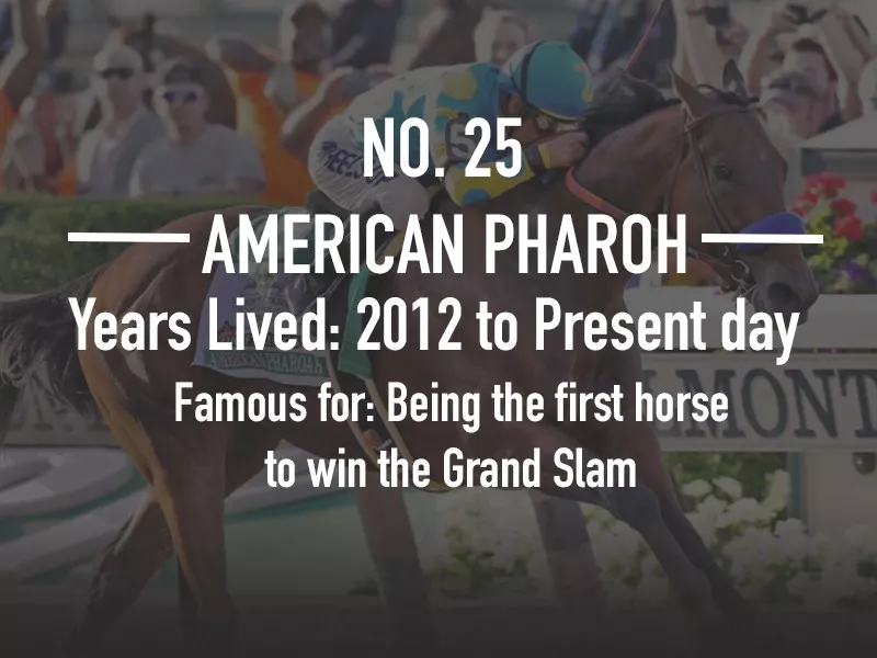 American Pharoah