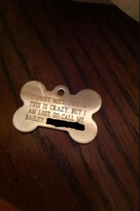 Carly Rae Jepsen dog tag