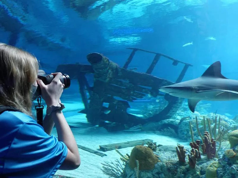 Texas State Aquarium