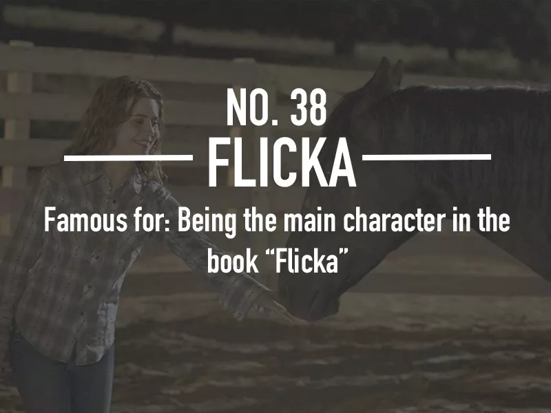 Flicka