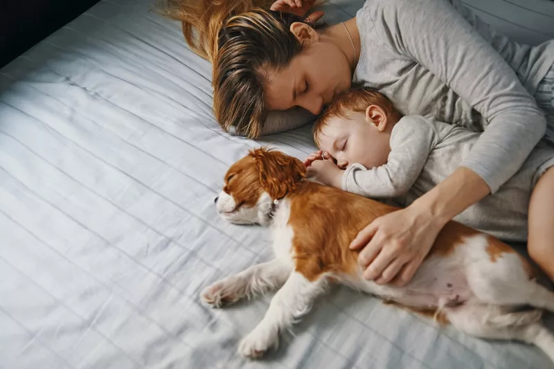 Young mother taking a nap with her babies