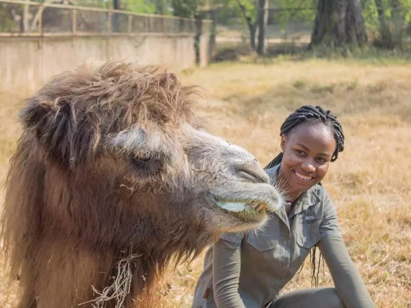 National Zoological Gardens of South Africa