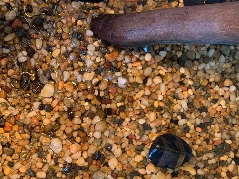 Frog camouflaged in rocks