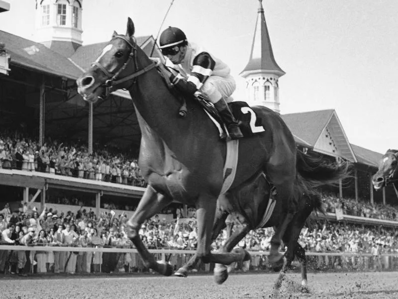 Affirmed,Steve Cauthen