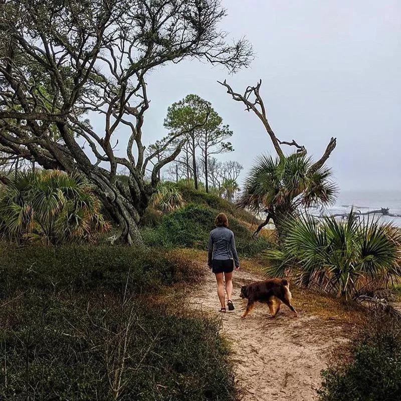 Golden Isles, Georgia