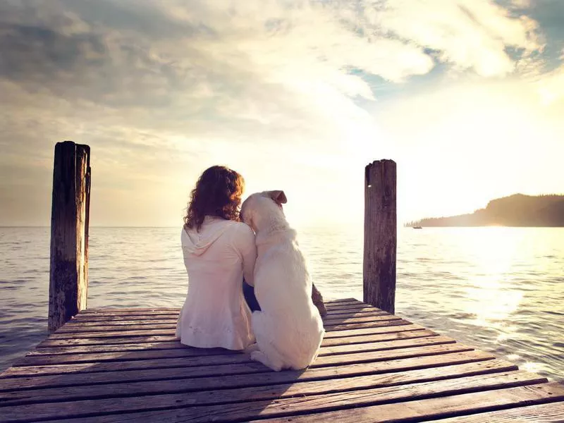 Dog rests on his master's shoulder