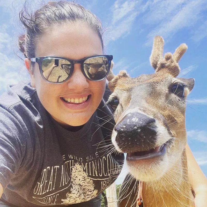 Pet deer smiling