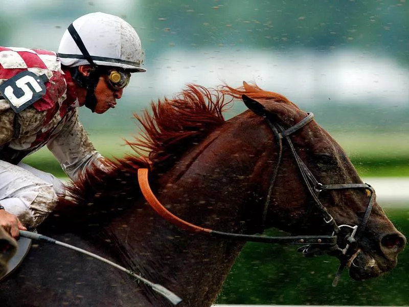 Funny Cide