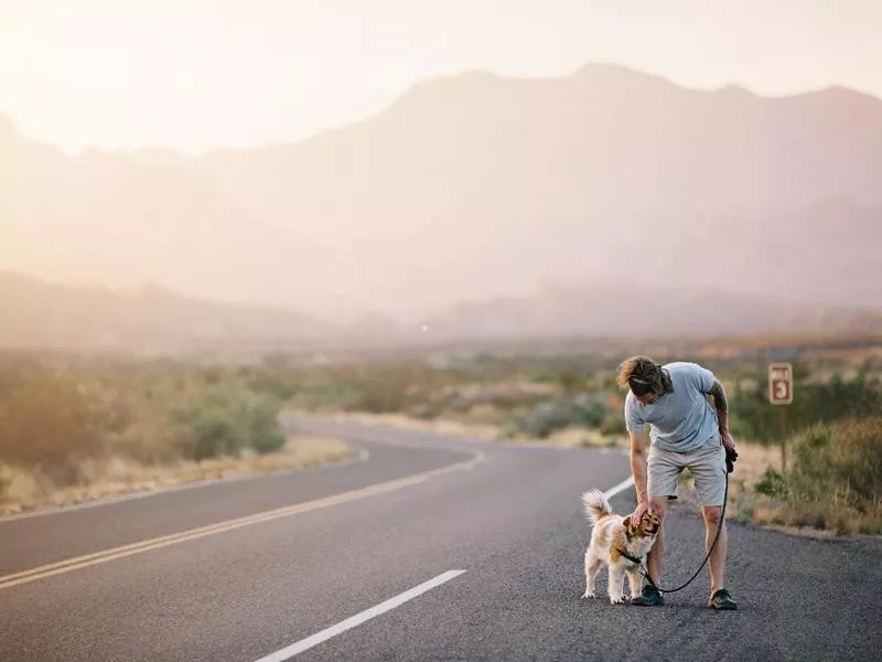 Big Bend National Park