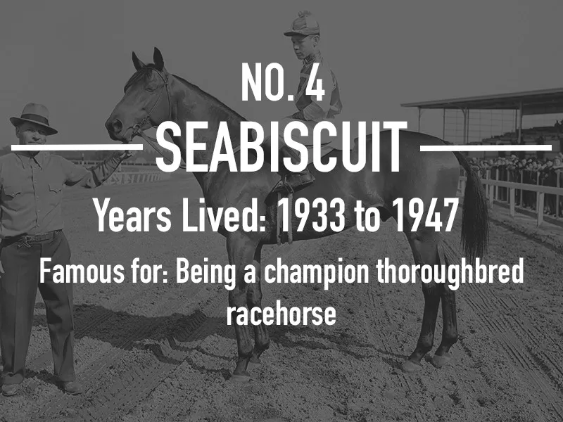 Seabiscuit