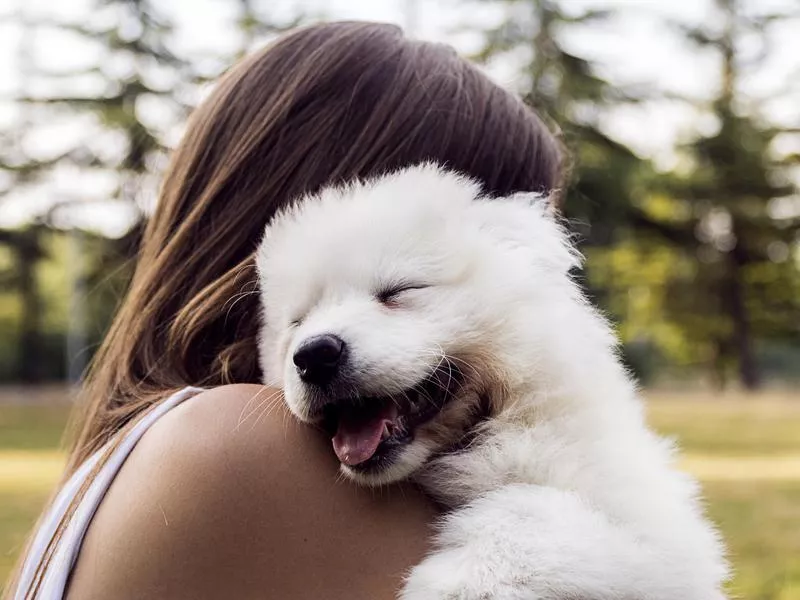 A fluffy, white puppy in a woman's arms