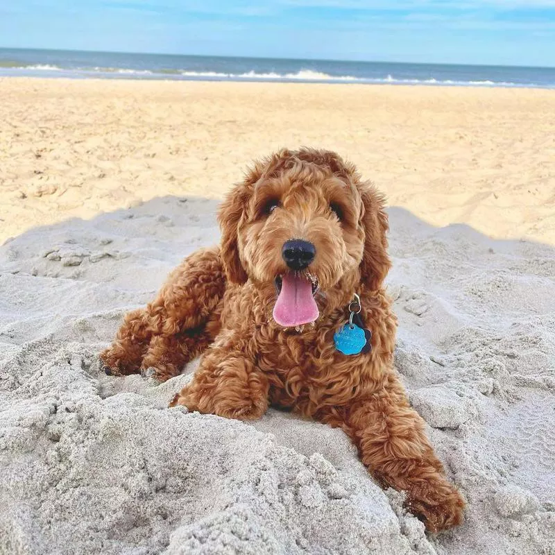 Dewey Beach, Delaware