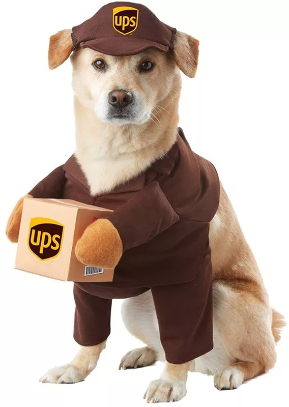 Dog UPS costume