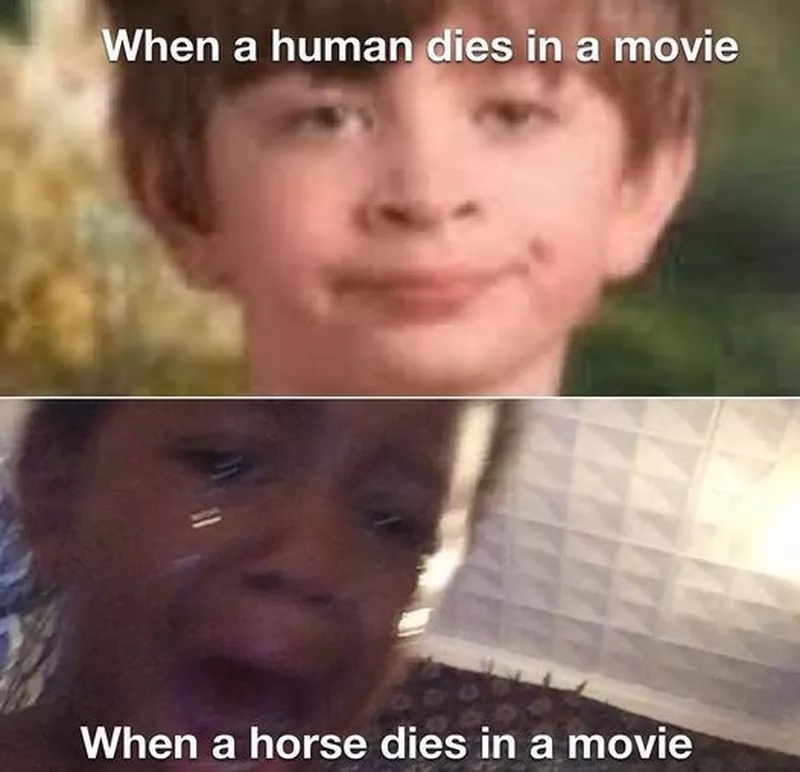 Animal movies meme