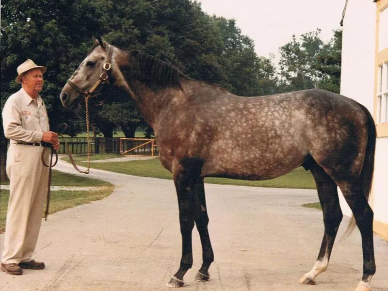 Spectacular Bid