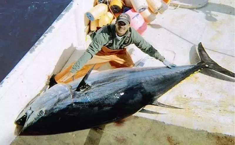 Atlantic Bluefin Tuna