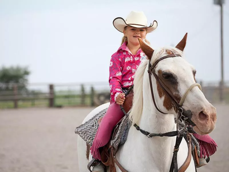 Little girl riding paint horse