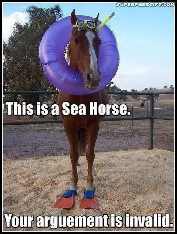 Sea horse