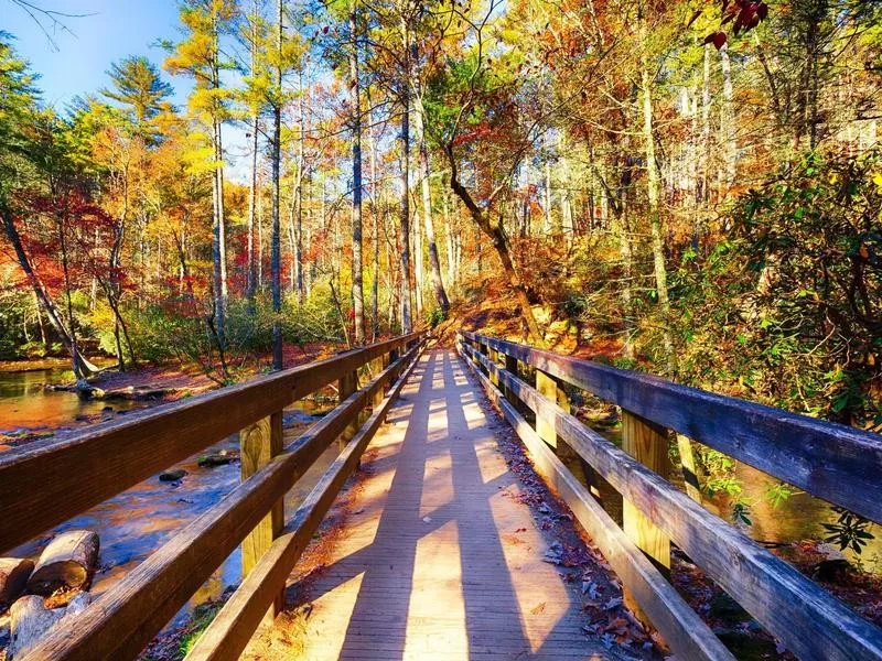 Great Smoky Mountains National Park