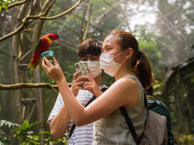 Singapore Zoo