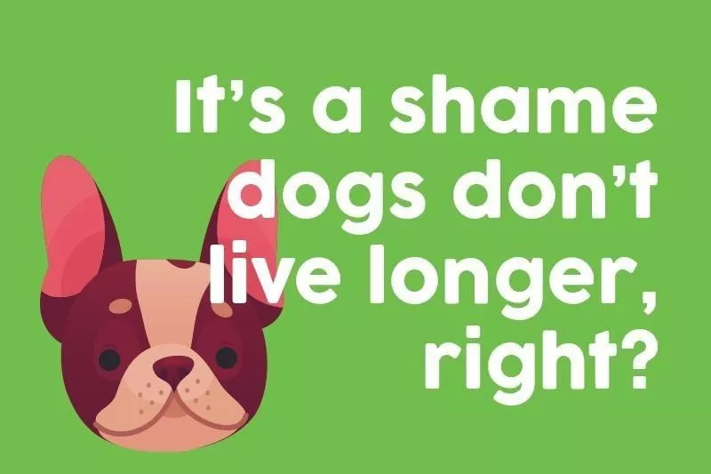 It’s a shame dogs don’t live longer, right?