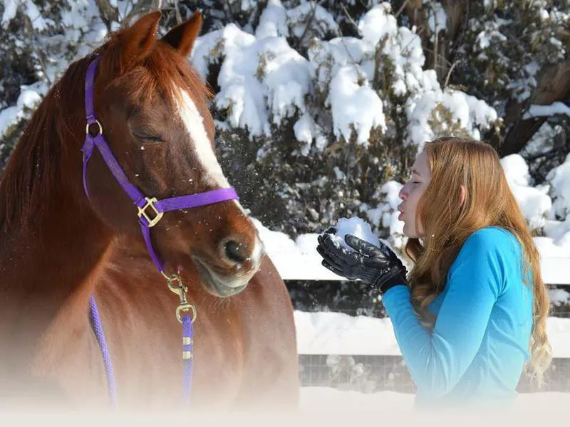 Girl with her morgan horse