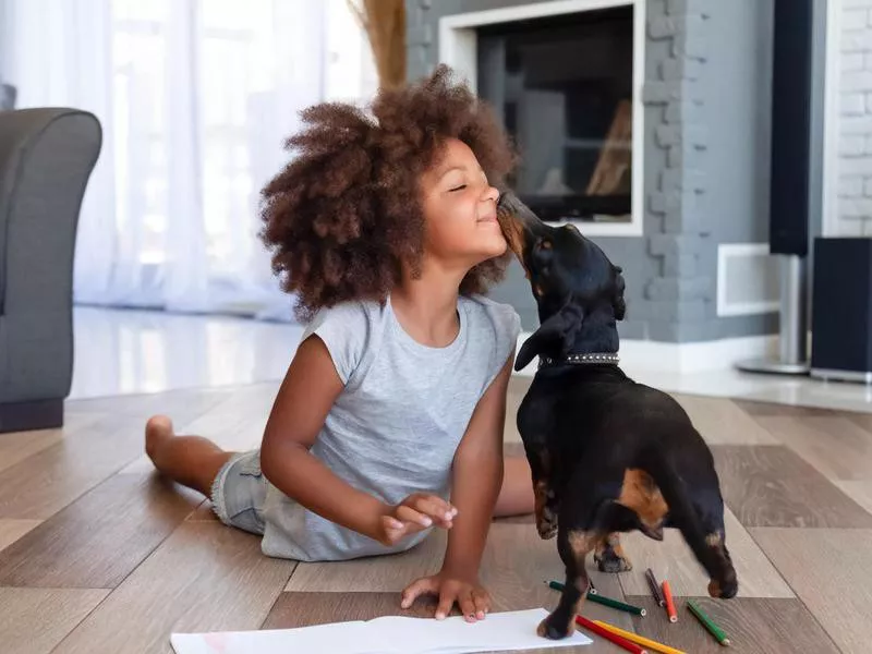 Cute little girl lying on floor playing with dog