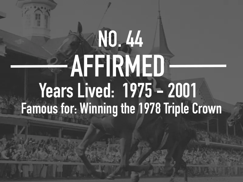 Affirmed