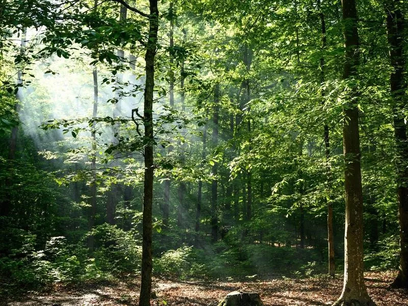 Mammoth Cave National Park