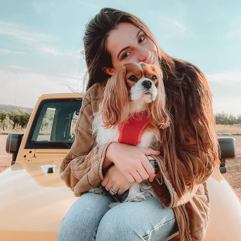 Road trip with pets