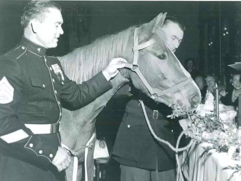 Sergeant Reckless