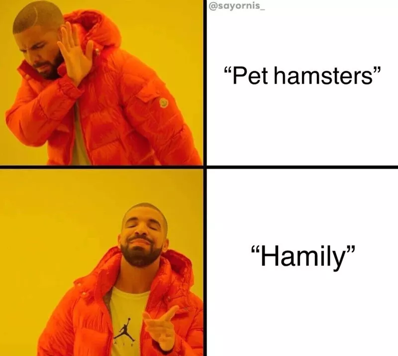 Funny Drake meme