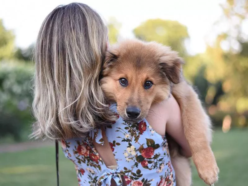 dog in owner's arms