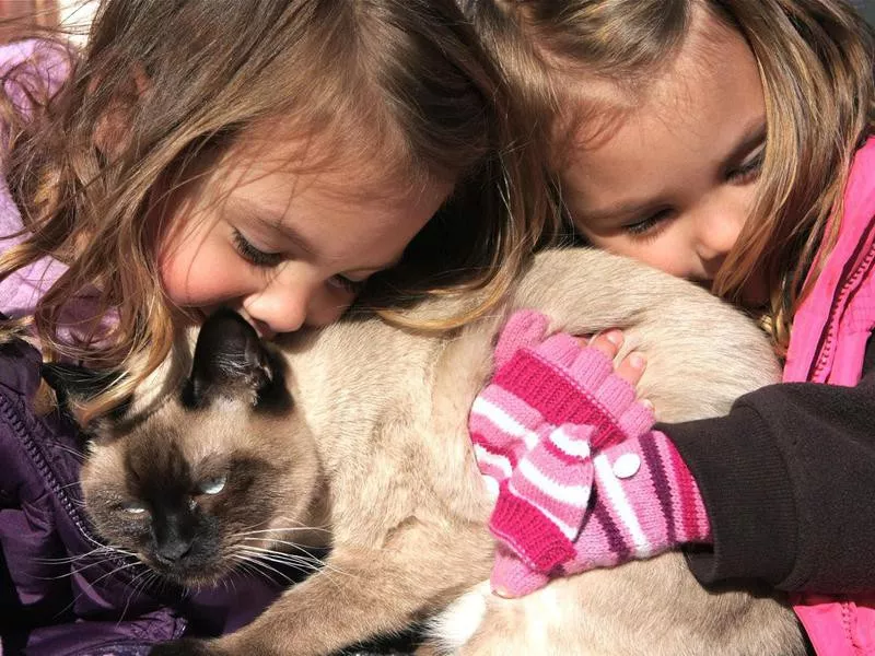 Children with Cat