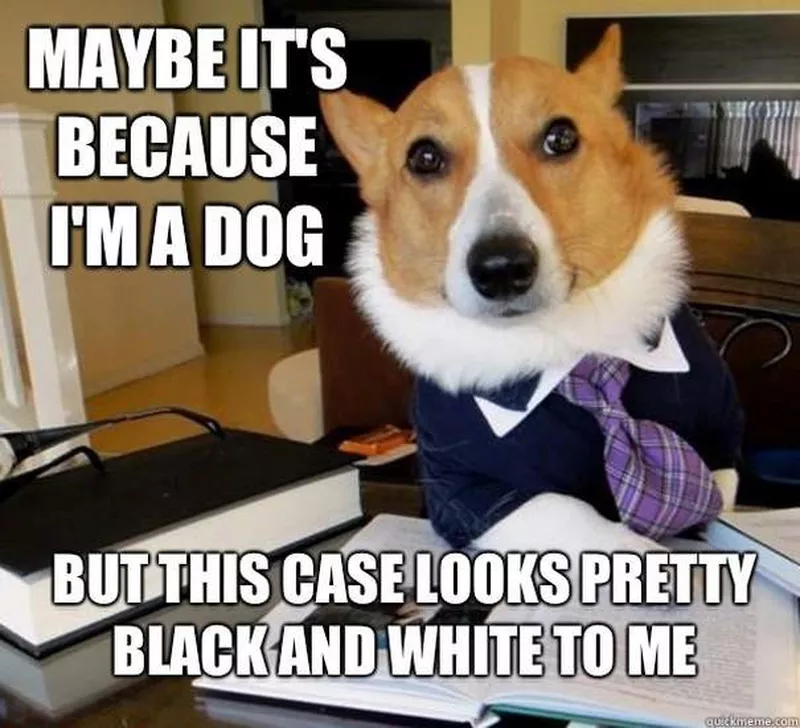 Business dog