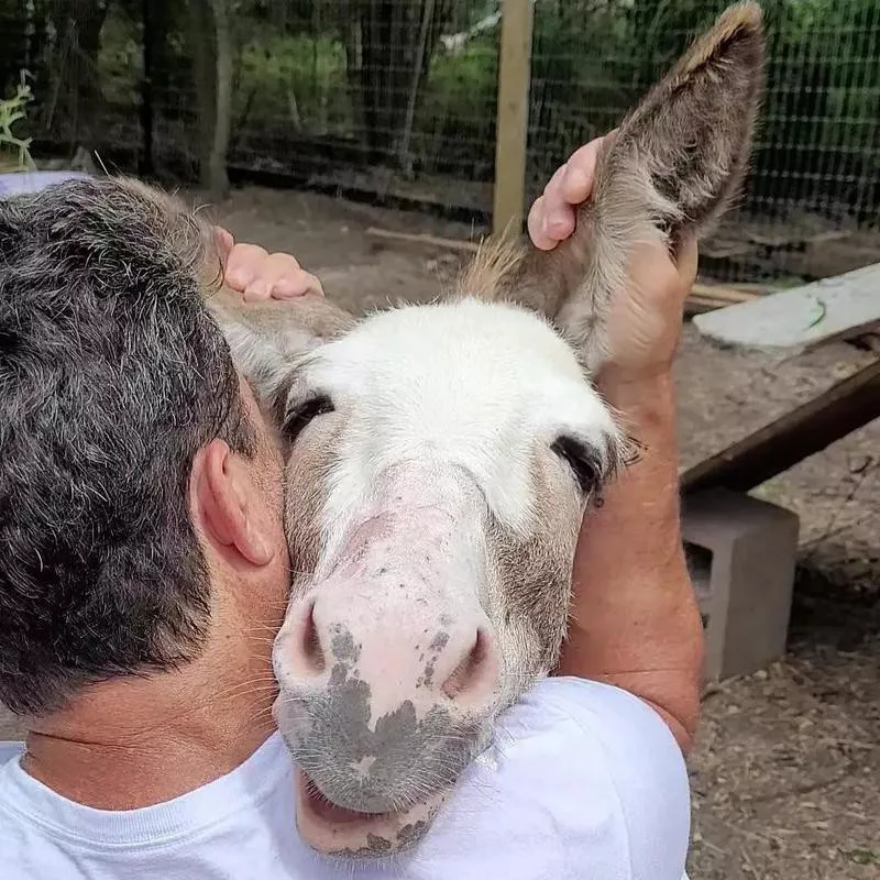 Man with his pet donkey