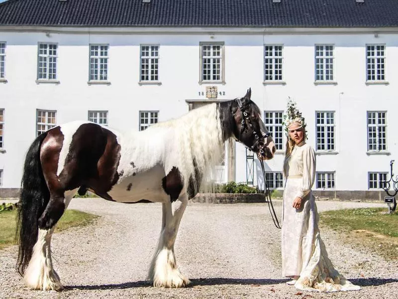 Young woman and drum horse in front of Egholm Castle